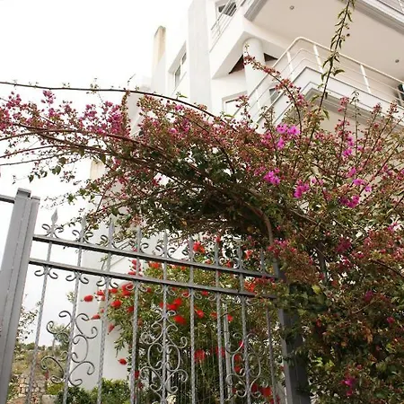 Alexandra's Apartment Sarande