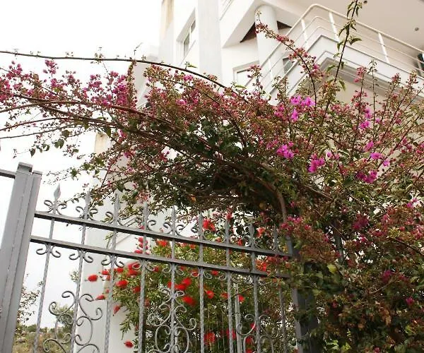 Alexandra's Appartement Saranda